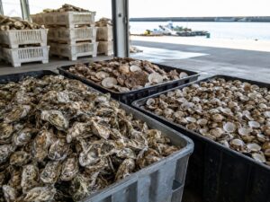 Processed oyster shell by-products used in Oyster Shell and Recycled dog poop bags